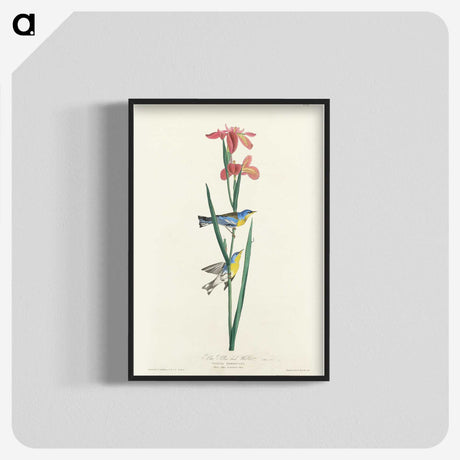 1-65_John-James-Audubon_blk-crop
