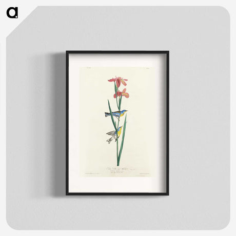 1-65_John-James-Audubon_blk