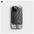 1-65_Karl-Blossfeldt_phone