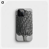 1-65_Karl-Blossfeldt_phone