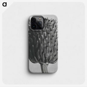 1-65_Karl-Blossfeldt_phone