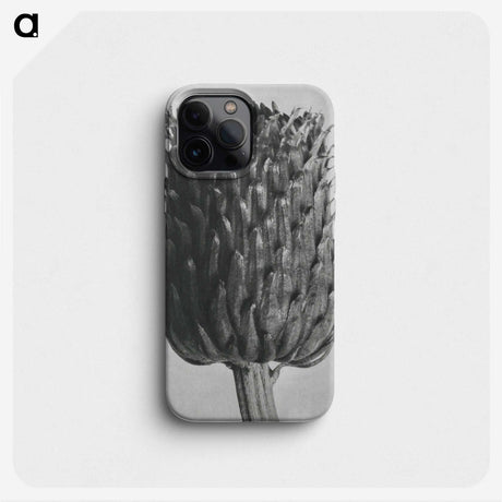 1-65_Karl-Blossfeldt_phone