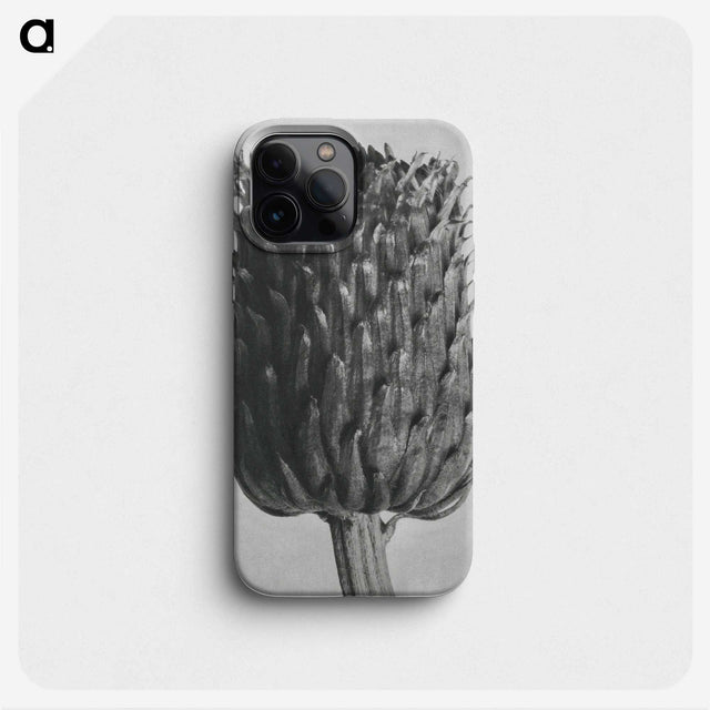 1-65_Karl-Blossfeldt_phone