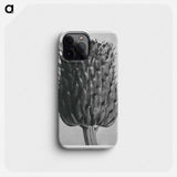 Cirsium Canum (Thistle) Flower Head - Karl Blossfeldt Phone Case.