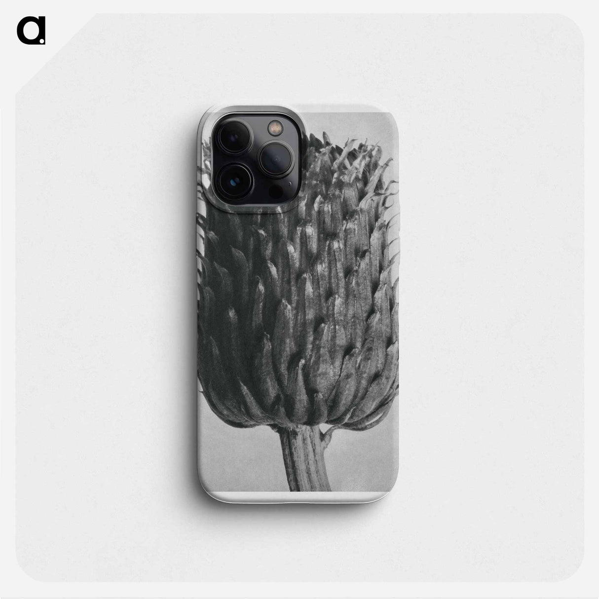 Cirsium Canum (Thistle) Flower Head - カール ブロスフェルト Phone Case.