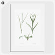 1-65_La-Botanique_picture
