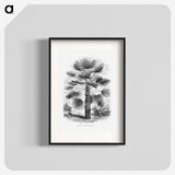 1-65_Les-Palmiers-Histoire-Iconographique_blk