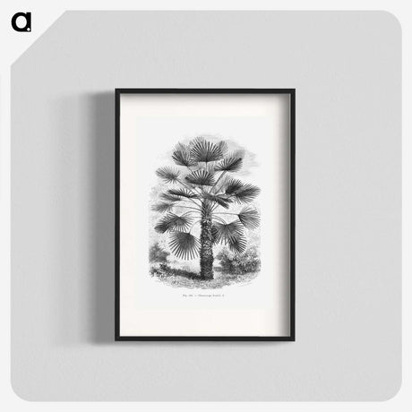 1-65_Les-Palmiers-Histoire-Iconographique_blk