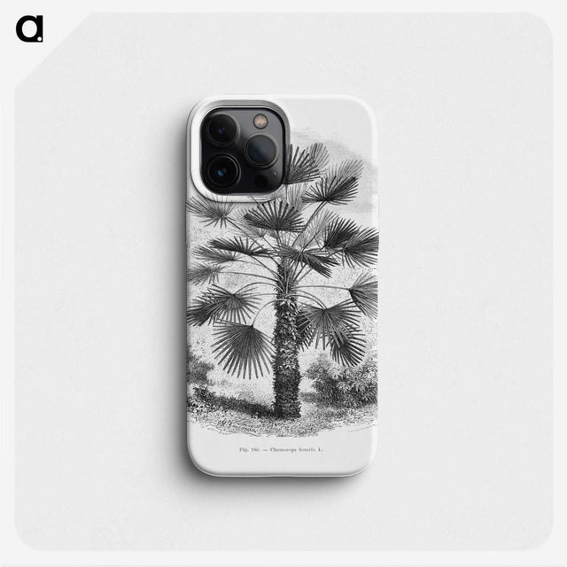 1-65_Les-Palmiers-Histoire-Iconographique_phone