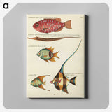 1-65_Louis-Renard_canvas