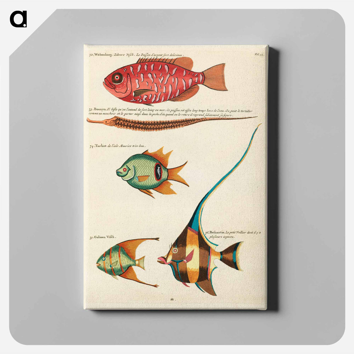 アートパネル-Moluccan Fishes
 - ルイ ルナール Canvas.