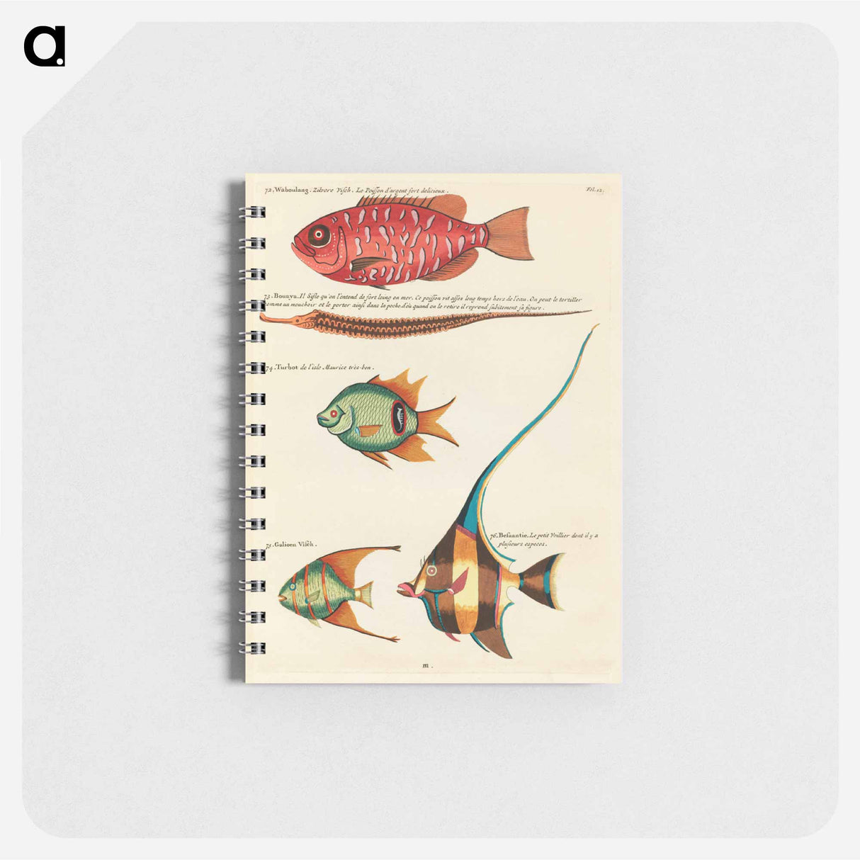 Moluccan Fishes
 - ルイ ルナール Memo.