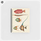 Moluccan Fishes
 - ルイ ルナール Memo.