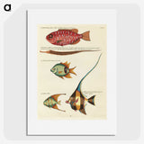 1-65_Louis-Renard_picture