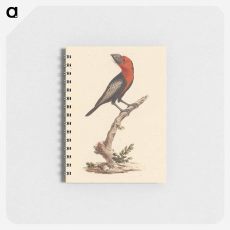 アートメモ帳-Black-billed Barbet
 - ルイージ バルガーニ Memo.