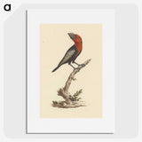 1-65_Luigi-Balugani_picture