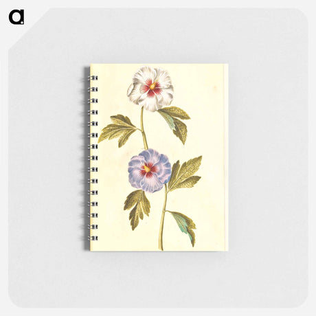 アートメモ帳-Hibiscus Syriacus
 - マリア ジビーラ メーリアン Memo.
