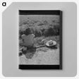1-65_Marion-Post-Wolcott_canvas
