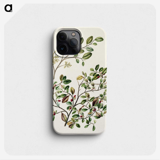 1-65_Native-Flowering-Plants-of-New-Zealand_phone