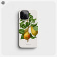 1-65_Nederlandsche-Flora-en-Pomona_phone