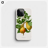 1-65_Nederlandsche-Flora-en-Pomona_phone