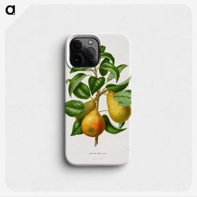 1-65_Nederlandsche-Flora-en-Pomona_phone