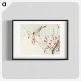 1-65_Ohara-Koson_blk