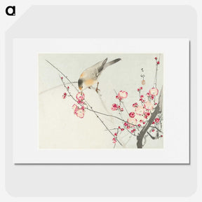 1-65_Ohara-Koson_picture