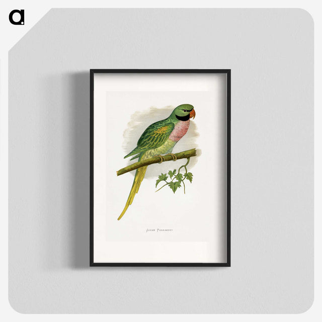 1-65_Parrots-in-Captivity_blk