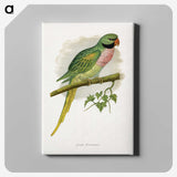 1-65_Parrots-in-Captivity_canvas