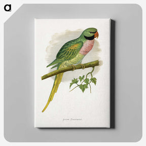 1-65_Parrots-in-Captivity_canvas
