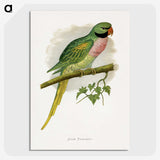 1-65_Parrots-in-Captivity_picture-crop