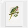 1-65_Parrots-in-Captivity_picture