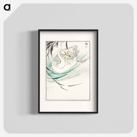 アートポスター-Wooper Swan Illustration
 - 鳥類図鑑 Poster.