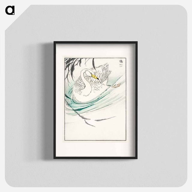 アートポスター-Wooper Swan Illustration
 - 鳥類図鑑 Poster.