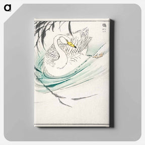 アートパネル-Wooper Swan Illustration
 - 鳥類図鑑 Canvas.