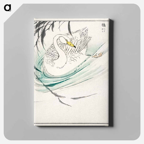 アートパネル-Wooper Swan Illustration
 - 鳥類図鑑 Canvas.