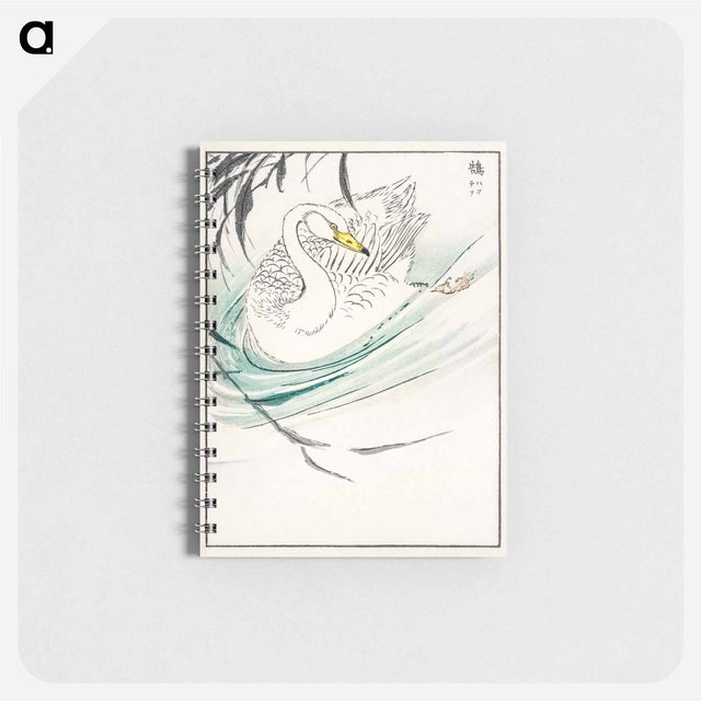 アートメモ帳-Wooper Swan Illustration
 - 鳥類図鑑 Memo.