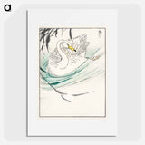 アートポスター-Wooper Swan Illustration
 - 鳥類図鑑 Poster.