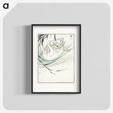 1-65_Pictorial-Monograph-of-Birds_blk