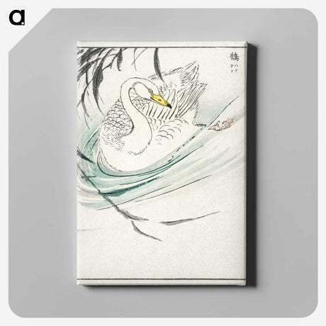 1-65_Pictorial-Monograph-of-Birds_canvas