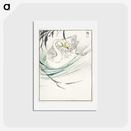 1-65_Pictorial-Monograph-of-Birds_hagaki