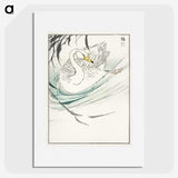 1-65_Pictorial-Monograph-of-Birds_picture