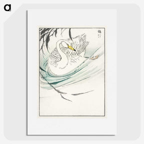 1-65_Pictorial-Monograph-of-Birds_picture