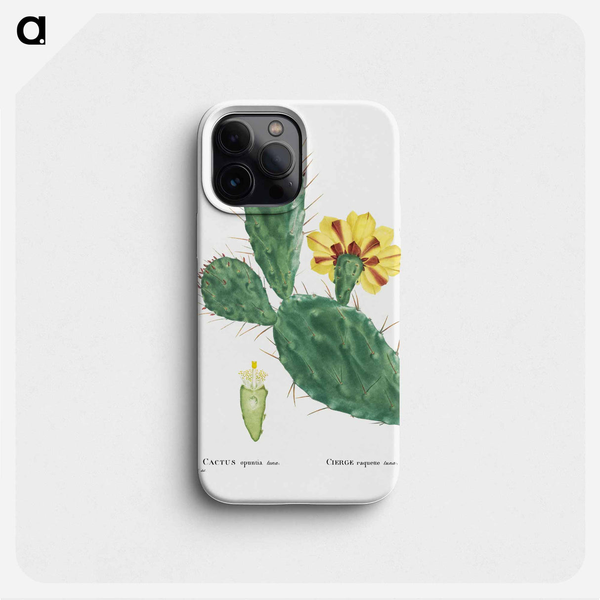 Cactus Opuntia Tuna (Prickly Pear) - Pierre Joseph Redouté Phone Case.