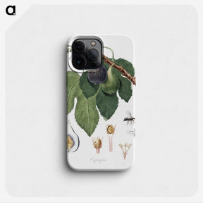 1-65_Pomona-Italiana_phone