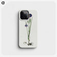 1-65_Robert-Jacob-Gordon_phone