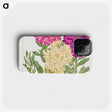 1-65_Seiyo-Soka-Zufu_phone