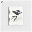アートメモ帳-White-bellied Swallow from Birds of America
 - アメリカの鳥たち Memo.