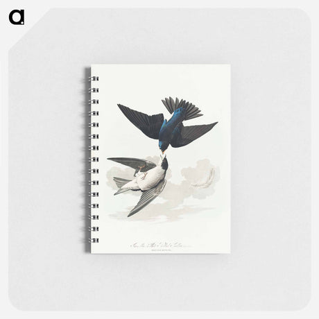 アートメモ帳-White-bellied Swallow from Birds of America
 - アメリカの鳥たち Memo.